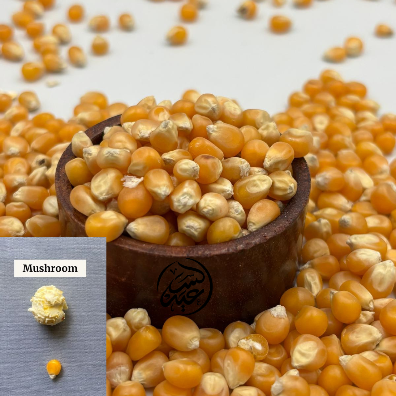 Mushroom Popcorn Kernels ذرة فشار المشروم (فشار السينما) - بهارات و عطارة السعيد
