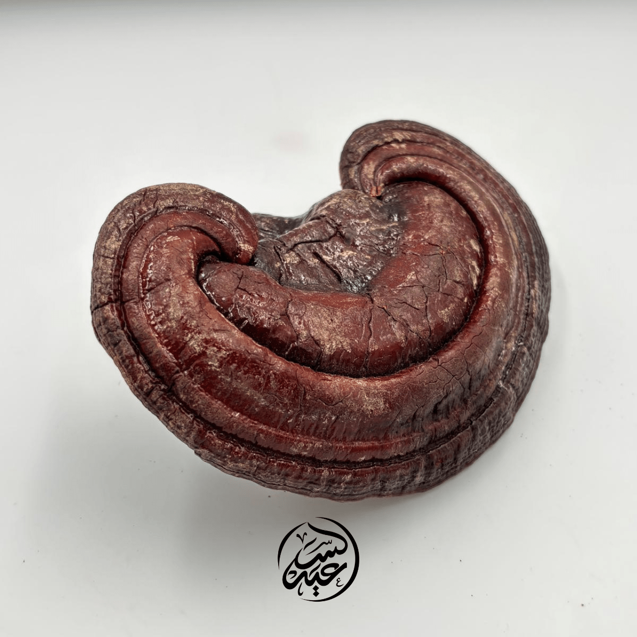 Rishi Mushroom الفطر ريشى - بهارات و عطارة السعيد