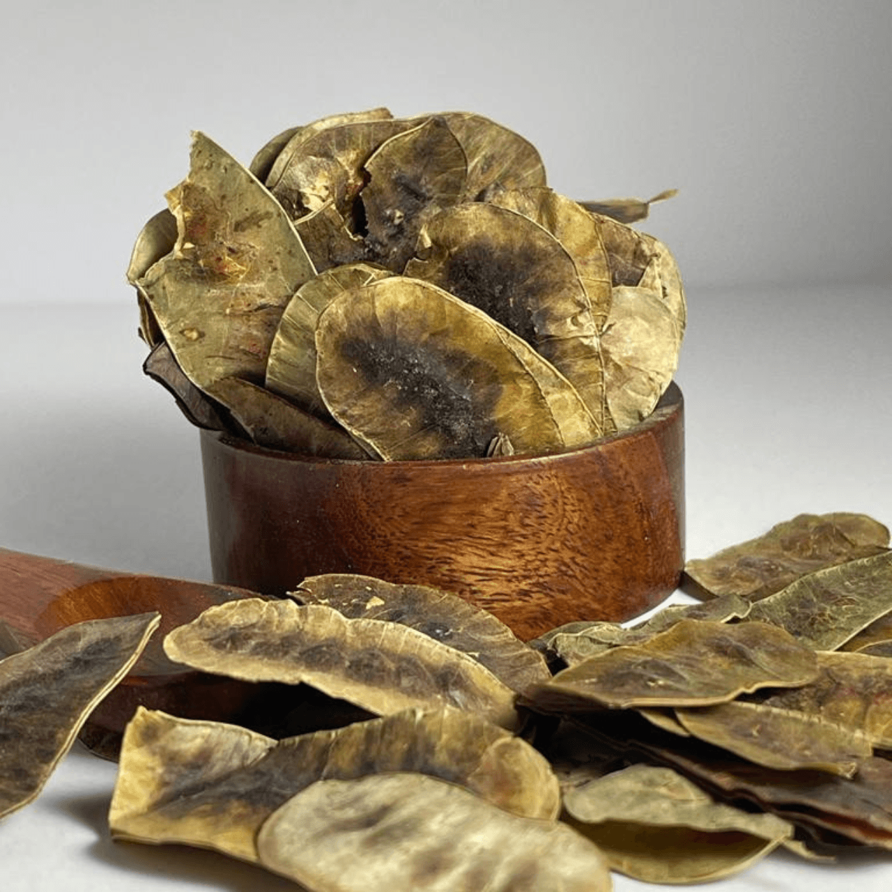 enchanter's nightshade ورق عشرق - بهارات و عطارة السعيد