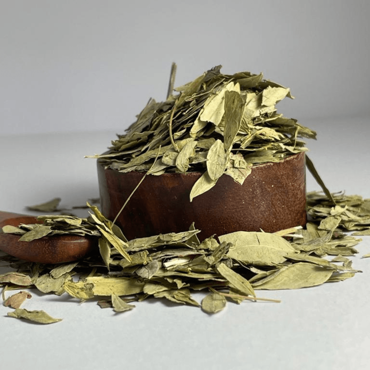 nettle leaves ورق سنامكي - بهارات و عطارة السعيد