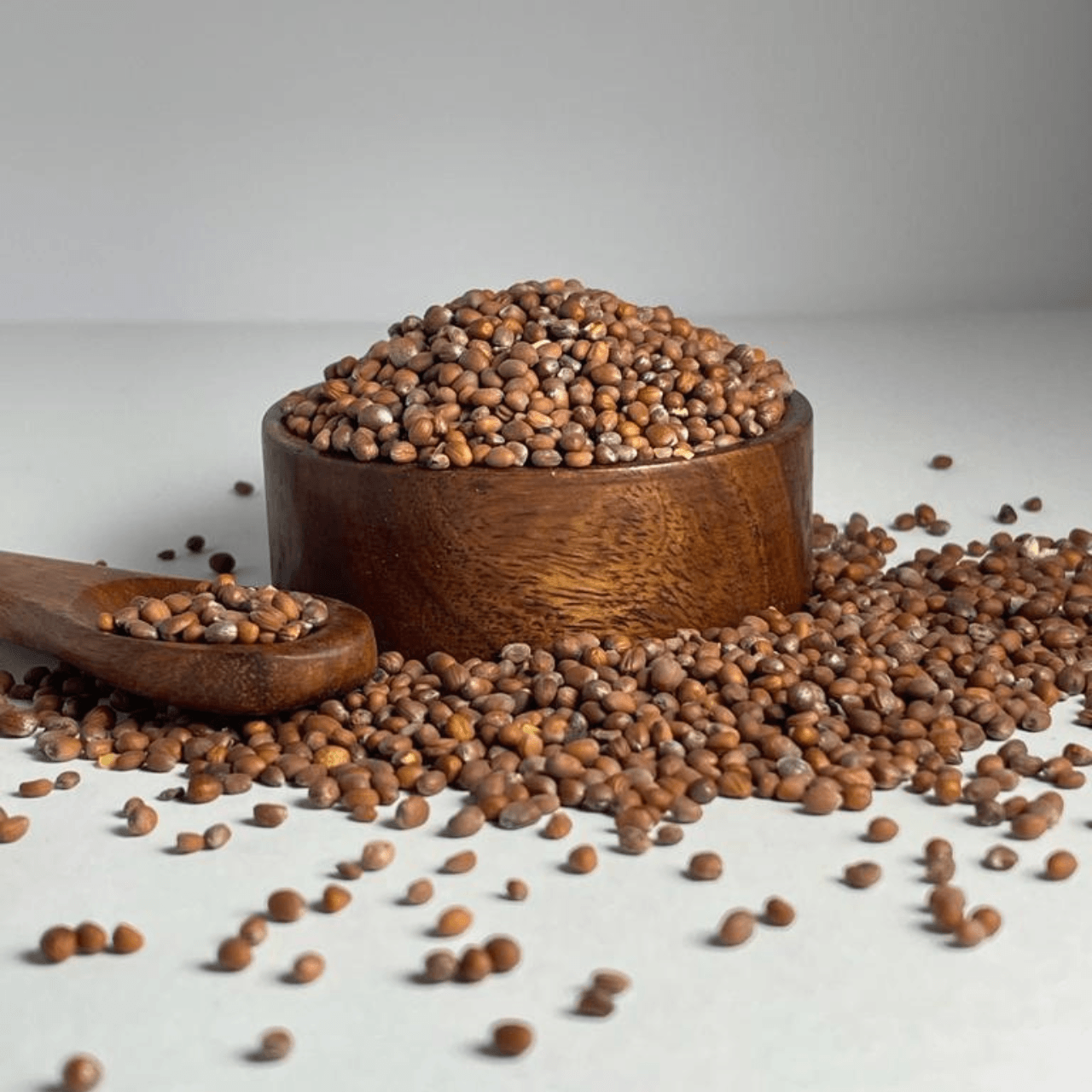 بهارات و عطارة السعيد Radish Seeds بذر فجل Seed16 New 40