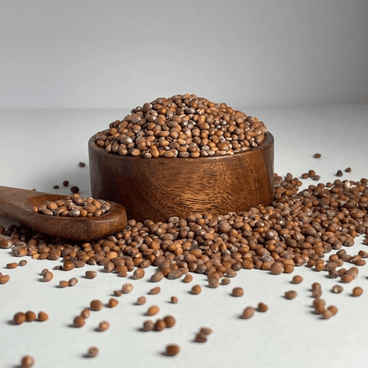 بهارات و عطارة السعيد Radish Seeds بذر فجل Seed16 New 40