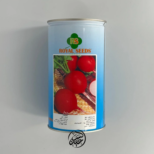 Royal Radish Seeds 500g بذر فجل للزراعة