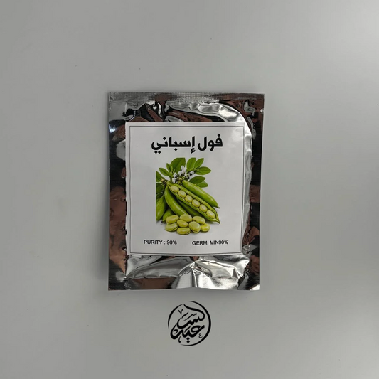 Spanish Fava Bean Seeds بذور الفول الإسباني للزراعة