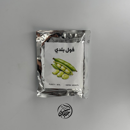 Local Fava Bean seeds بذور الفول البلدي للزراعة