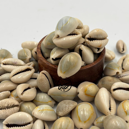 Moroccan Woda الودعة المغربية