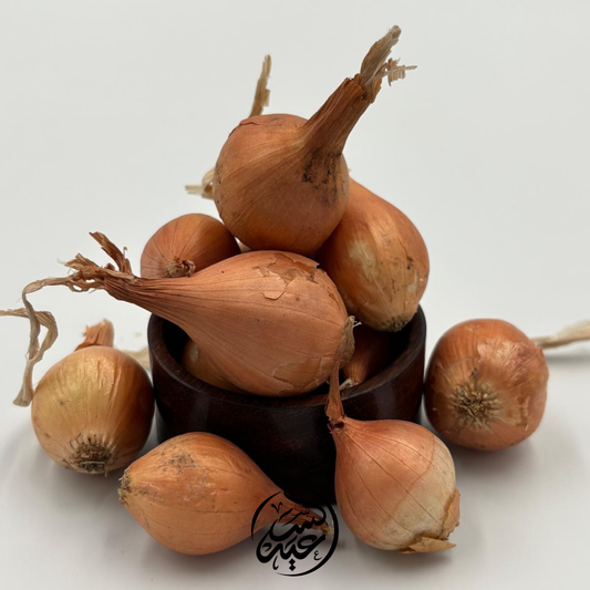 golden onion for planting قنار بصل للزراعة