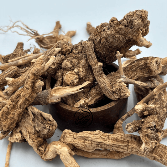 Anacyclus roots  عود القرح - بهارات و عطارة السعيد