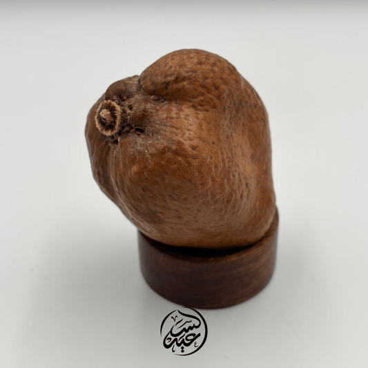 Doum Fruit فاكهة الدوم - بهارات و عطارة السعيد