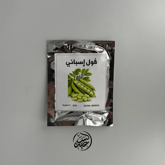 Spanish Fava Bean Seeds بذور الفول الإسباني للزراعة - بهارات و عطارة السعيد