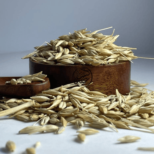 Barley Seeds بذور الشعير - بهارات و عطارة السعيد